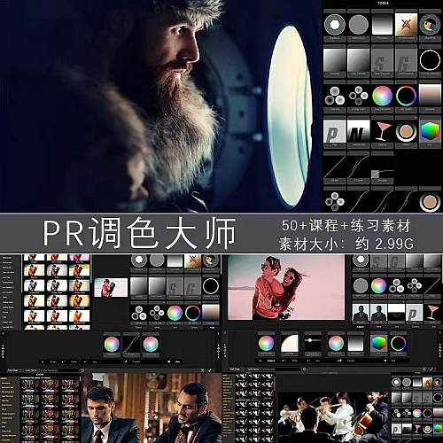 PR调色大师视频教程 looks全套调色课程下载