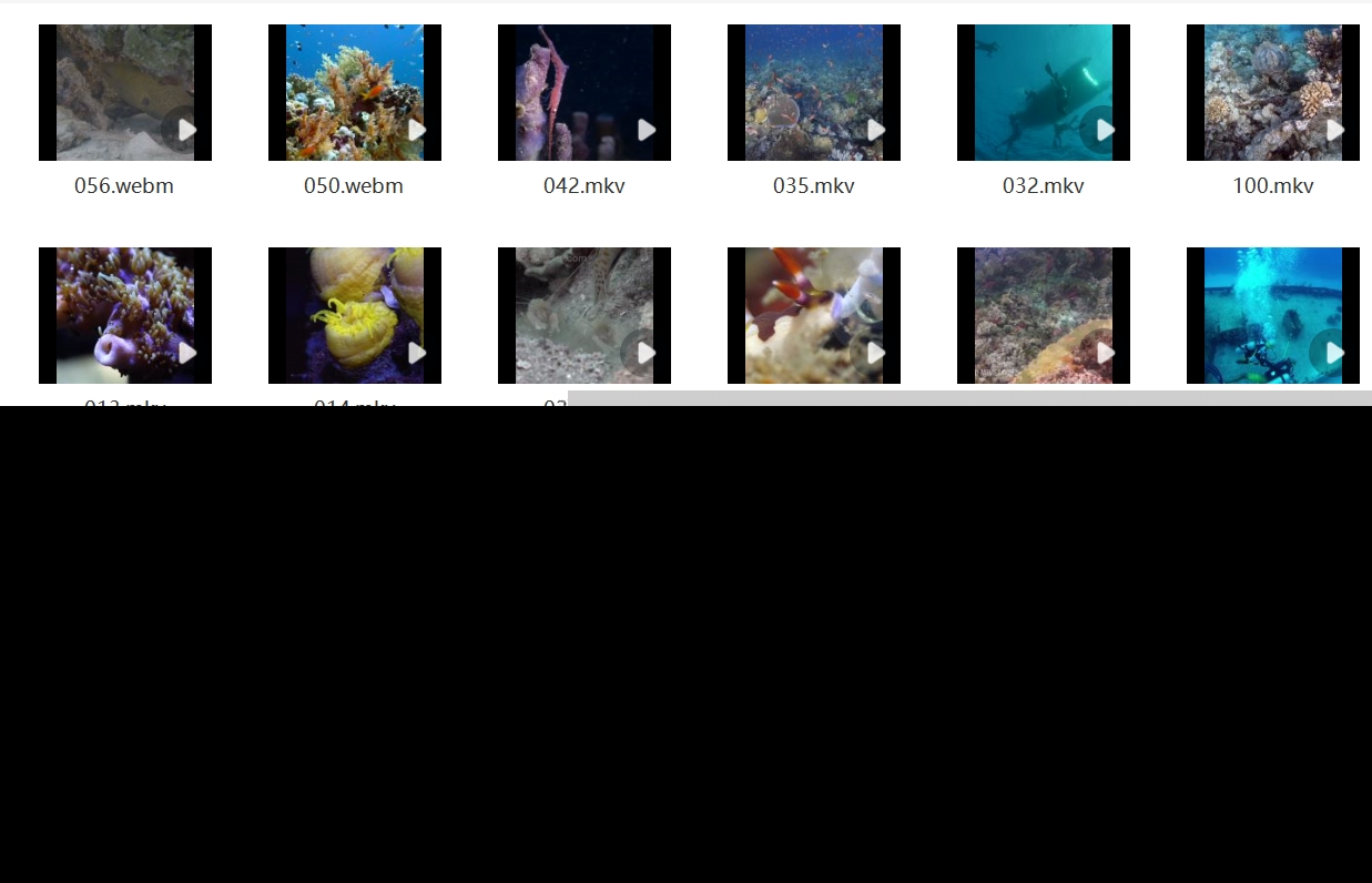 4K片源 海洋海底生物世界 鱼群珊瑚海龟鲨鱼海洋动物高清视频素材