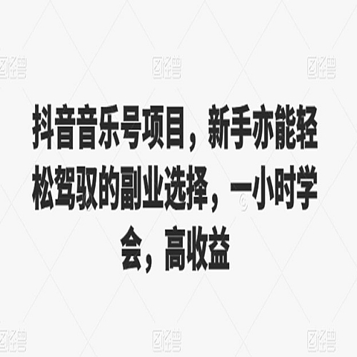 抖音音乐号项目，新手亦能轻松驾驭的副业选择，一小时学会，高收益下载