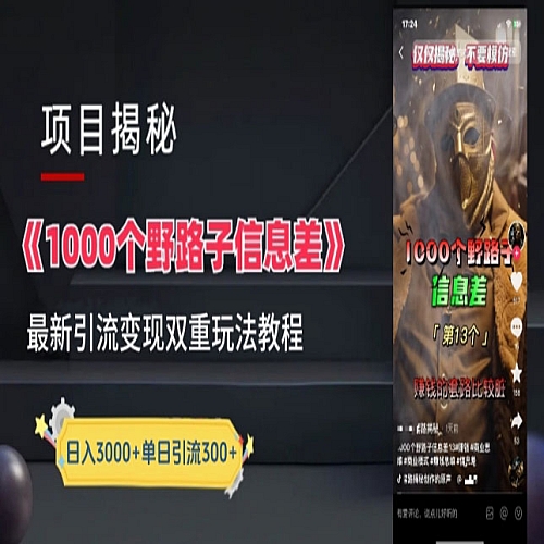 一千个野路子信息差最新玩法教程-变现+引流的玩法具体拆解下载