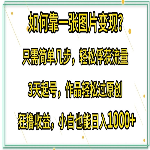 如何靠一张图片变现?只需简单几步，轻松俘获流量，3天起号，作品轻松过原创下载