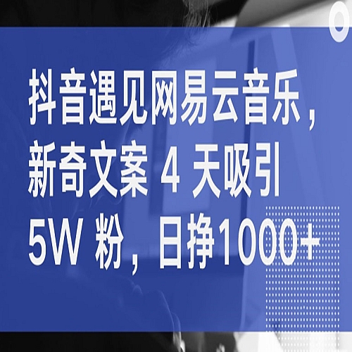 抖音遇见网易云音乐，新奇文案 4 天吸引 5W 粉下载